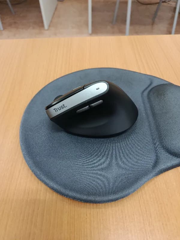 Ratón pro